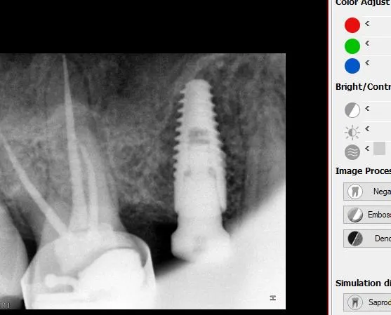 WhatsApp Image 2026-02-08 at 11.24.23 PM