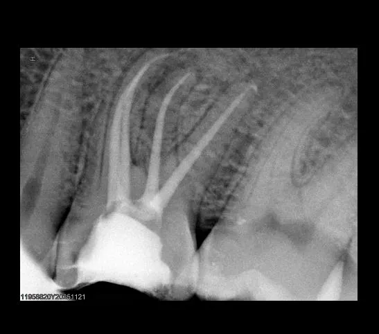 WhatsApp Image 2026-02-08 at 11.26.11 PM (3)