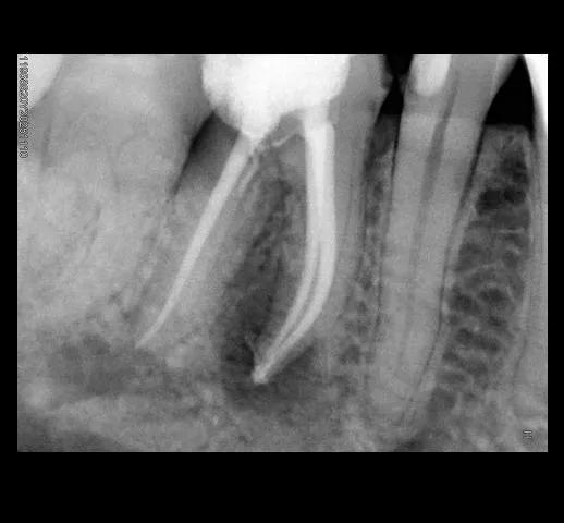 WhatsApp Image 2026-02-08 at 11.26.11 PM