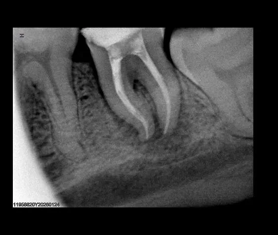 WhatsApp Image 2026-02-08 at 11.26.12 PM